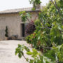 restored country house with olive grove for sale
