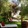 italy umbria house for sale