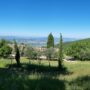 Casa_Bosco_20240512_103811